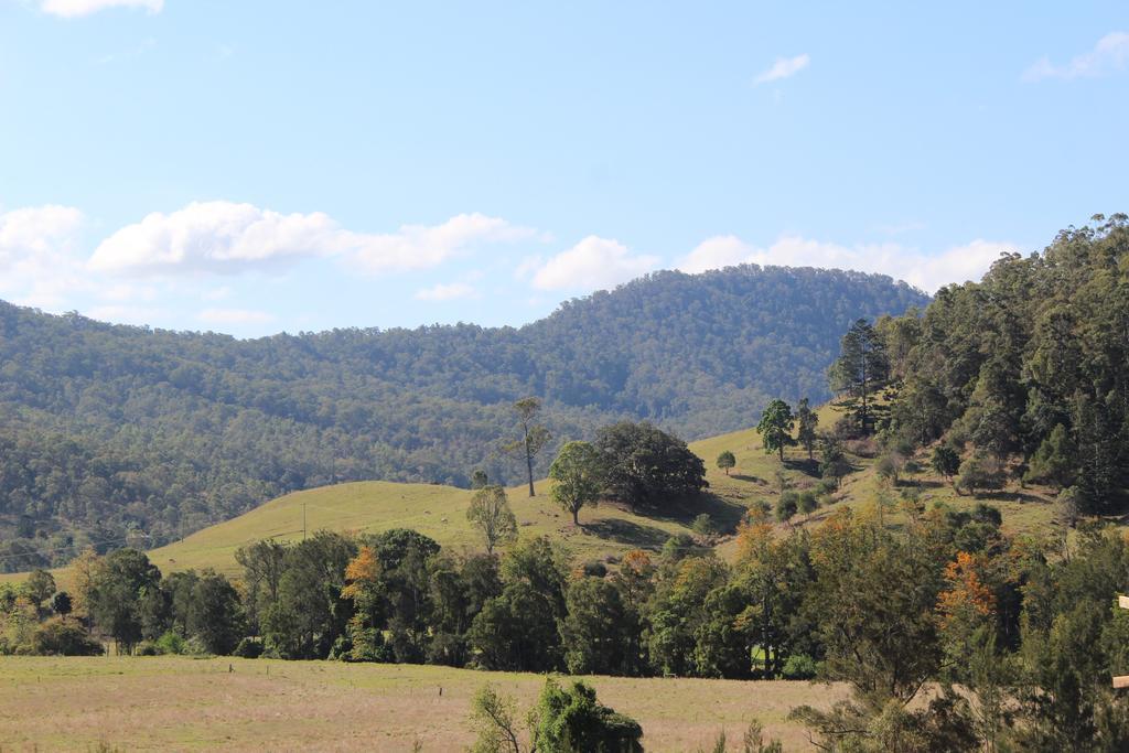 Greenlee Cottages Canungra Eksteriør bilde