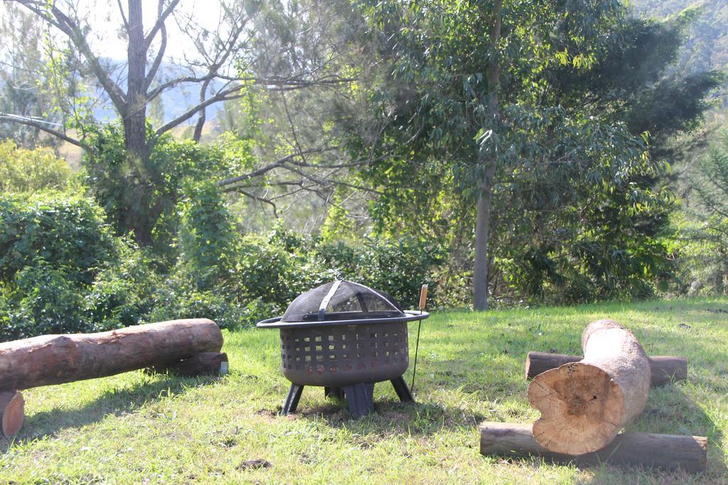 Greenlee Cottages Canungra Eksteriør bilde